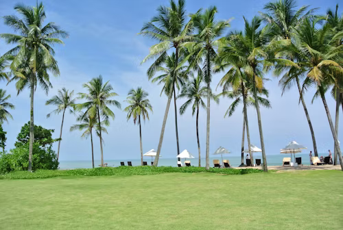 Concepto The Palm - Diseño urbanístico en forma de palmera